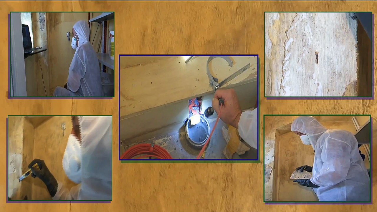 Firmenvideo schimmel-gutachter kirstein solingen