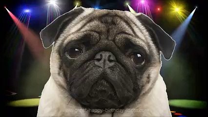 The Perfect Happy Birthday Rap Ecard!