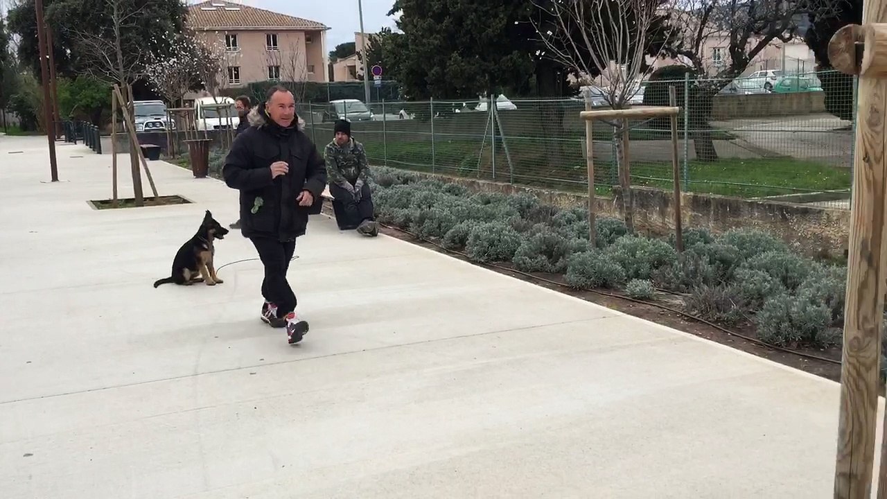 La Ciotat dressage éducation canine chiot berger allemand
