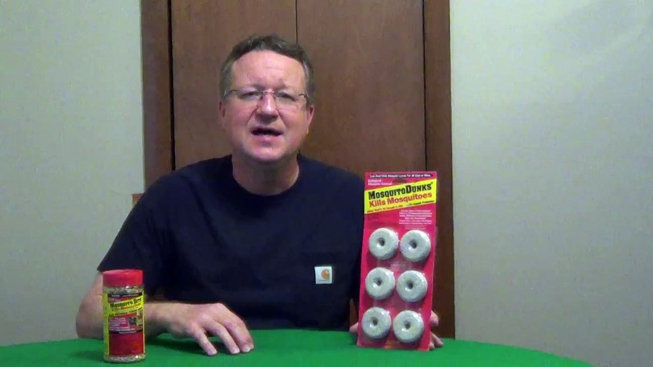 Are Mosquito Dunks Safe Around Fish, Wildlife, Pets and People