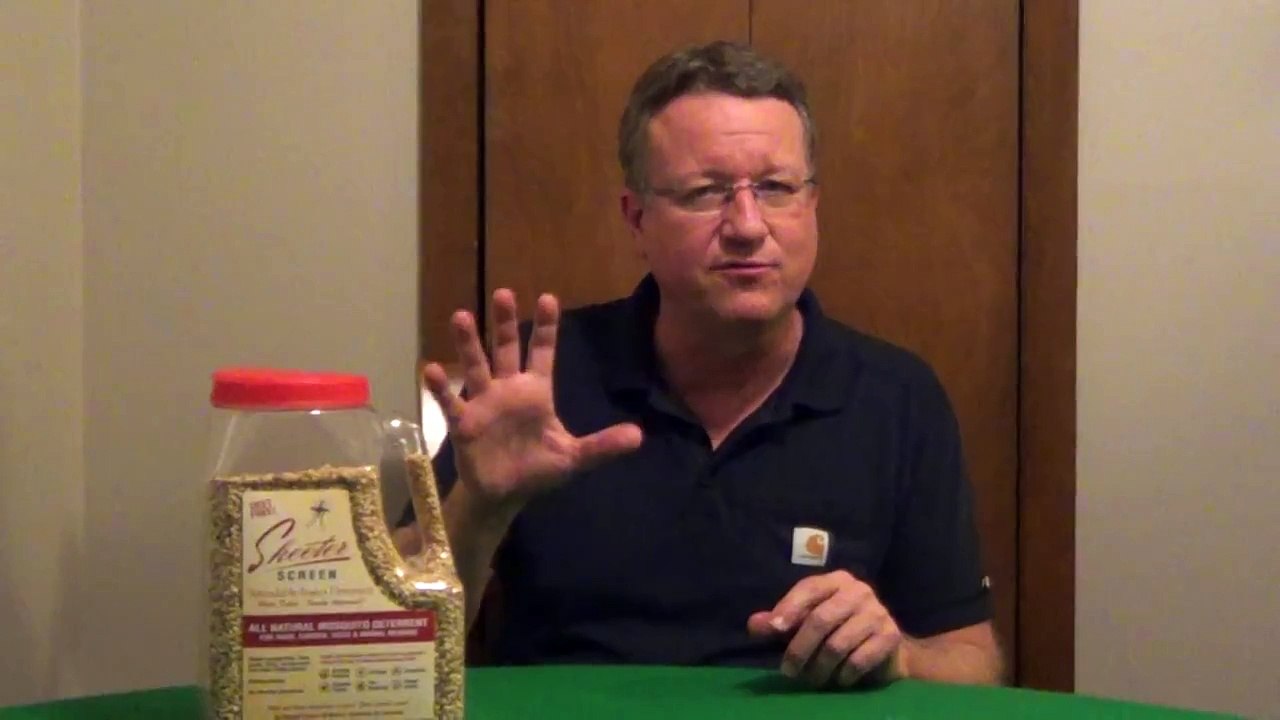 How to Get Rid of Mosquitoes in Your Yard