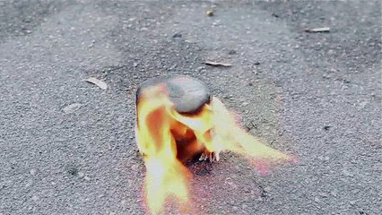 Как сделать походный брикет для розжига в любых условиях