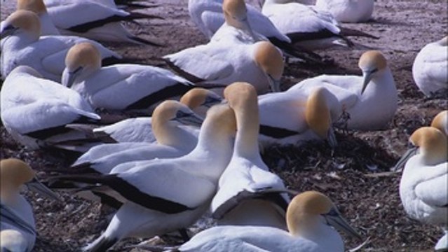 prueba luxor 1702 NO USAR