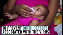 Zika virus is spreading at a dangerous rate. How worried should you be