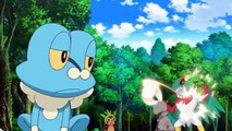 22 Pokemon X and Y Episode 38 Ash Froakie & Hawlucha VS Chespin & Bunnelby