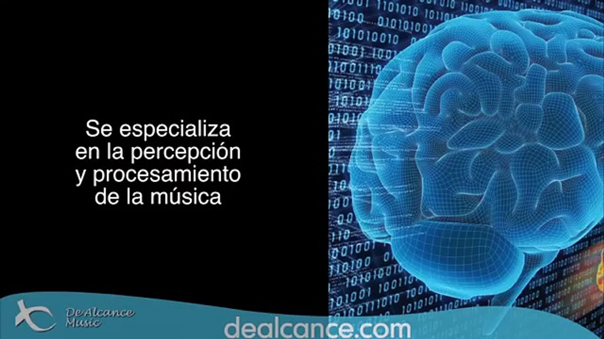 ⁣BABY STIMULATION, BRAIN AND MUSIC   YouTube (FULL HD)