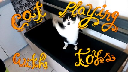 ★─── Gato jugando con varita mágica (｡◕‿‿◕｡) Cat playing with magic wand ───★