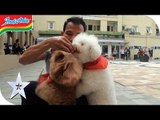 Indomie Ask Talent - Lovly Dog & AWI Junior - Indonesia's Got Talent