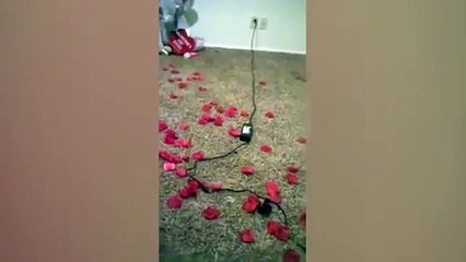 Así se vengó este hombre de su novia infiel