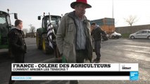 Les mesures de Valls sont-elles suffisantes pour aider l'agriculture française ?