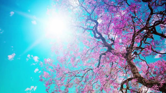 How to Apply Makeup on Wideset Eyes _ Bridal Beauty Tips & Tricks - Beauty Tips