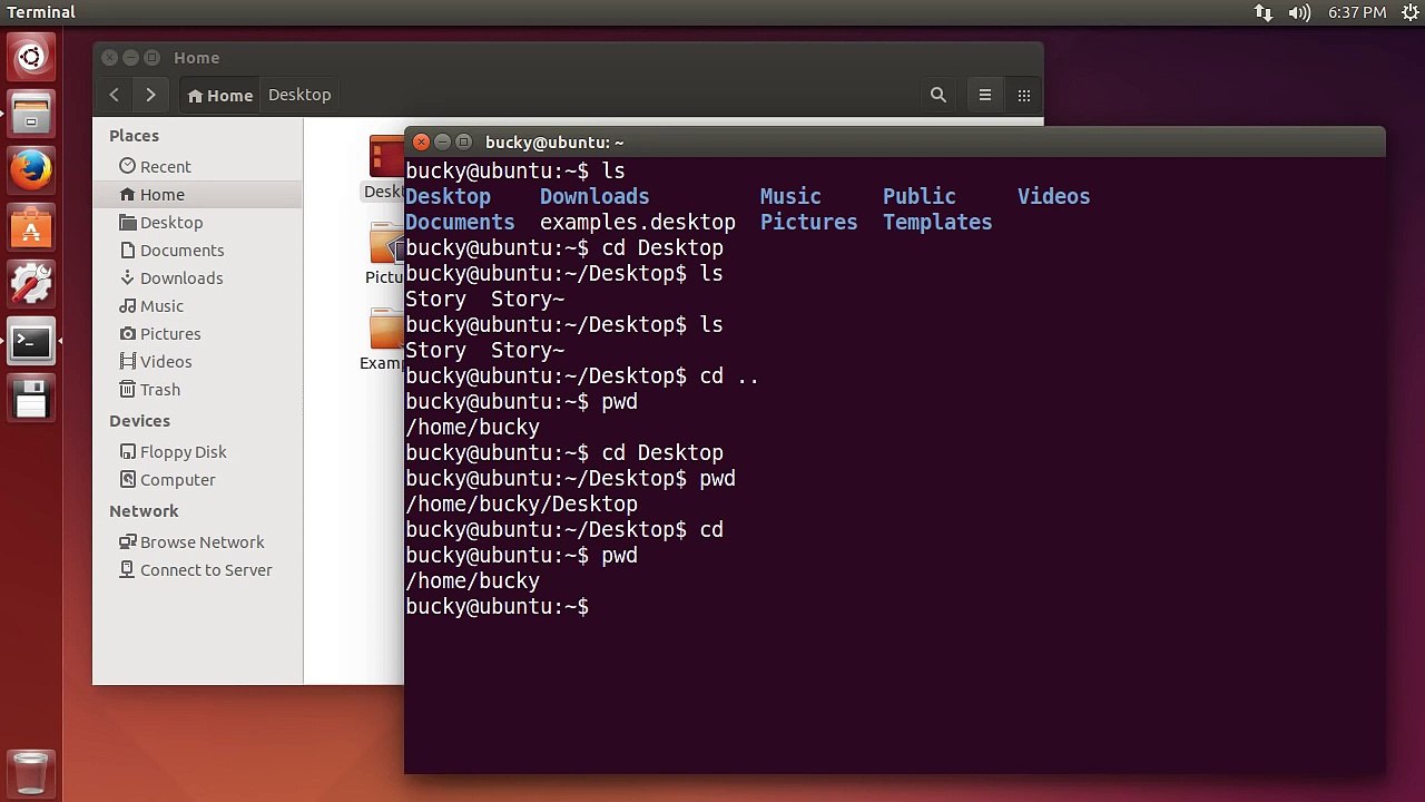 Navigating and Working with Files on linux