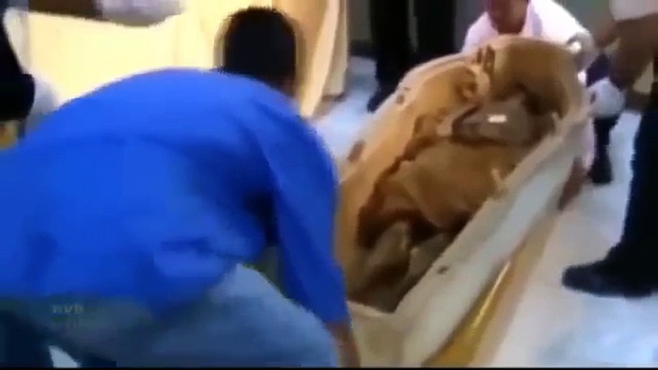 Bí Ẩn xác ướp Ai Cập