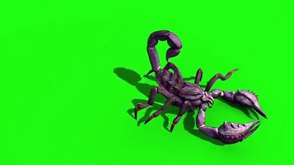 Animals - Dinosaurs - Green Screen