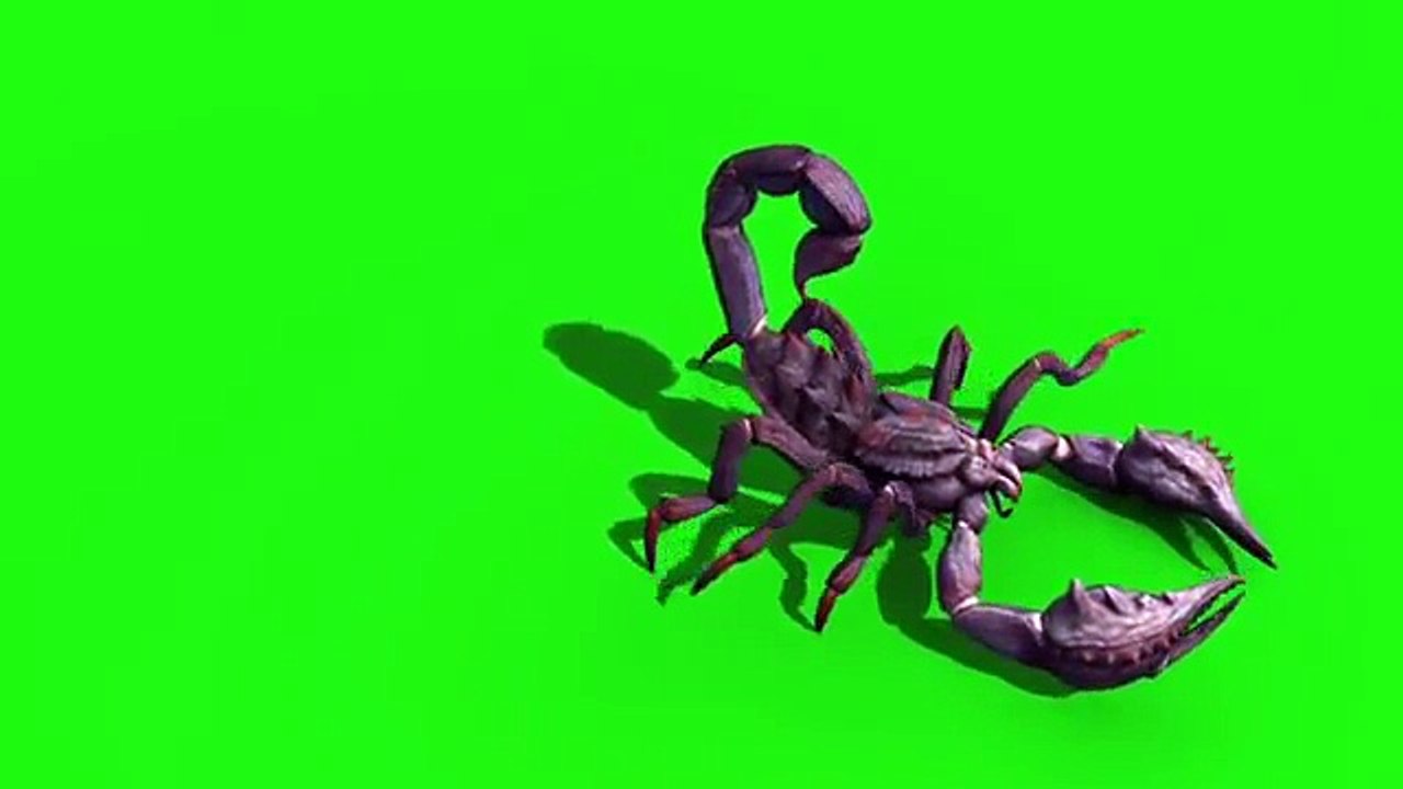 Animals - Dinosaurs - Green Screen