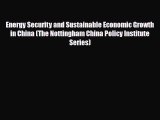 [PDF] Energy Security and Sustainable Economic Growth in China (The Nottingham China Policy