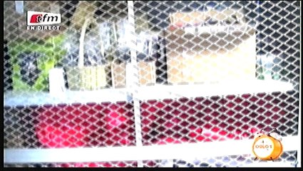 Yeewu Leen - 18 février 2016 - Jok Job avec Kya AIDARA