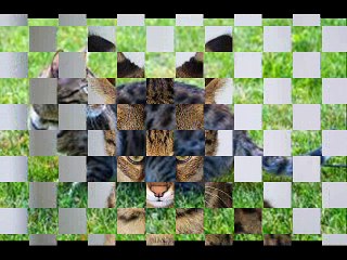 Most Expensive Cat Breeds in the World 2016