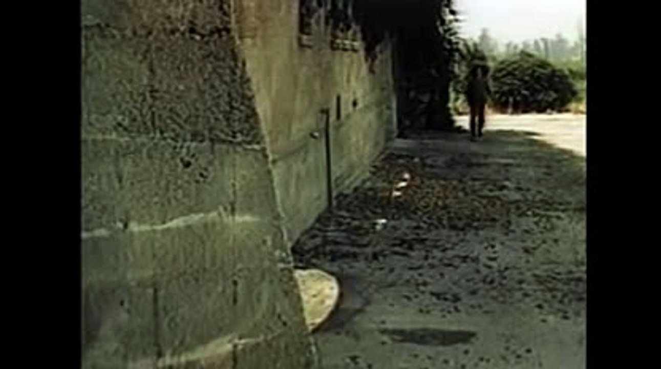 윈스카지노【 TNT900。COM 】월드카지노 월드카지노