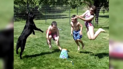 Dog Has A Blast With Sprinkler Toy