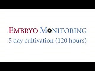 Praga Medica - Embryo Monitoring - Medical Services Prague