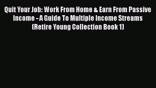 PDF Quit Your Job: Work From Home & Earn From Passive Income - A Guide To Multiple Income Streams