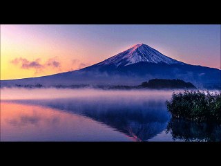 Simple Life by The Electric Trunk