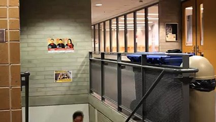 We like Cricket match Zaid Ali T Shahveer Jafry sham idrees Funny video funny clip funny Comedy funny