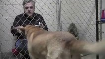 Veterinary eats his meal in scared abandoned Dog to reassure him - Granite Hills Animal Care