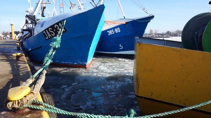 Półwysep Helski zimą - port rybacki w Jastarni - 07.02.2016