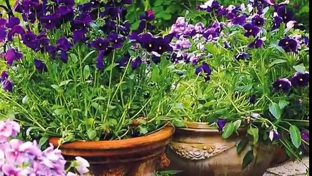 Садовые горшки для цветов своими руками