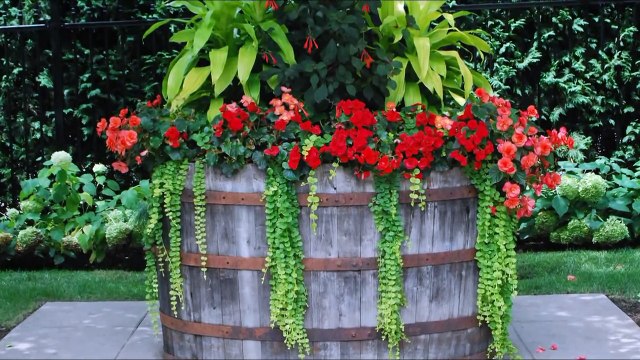 Садовые горшки для цветов