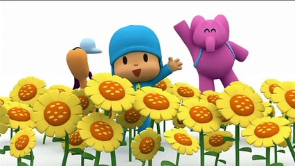 Pocoyo - Noi amiamo lestate!