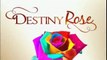Destiny Rose February 18, 2016 Part 2 / Dailynewsportal.net