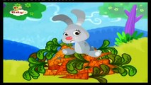 BABYTV KENNY Y GOORIE con Conejo (Español de España)