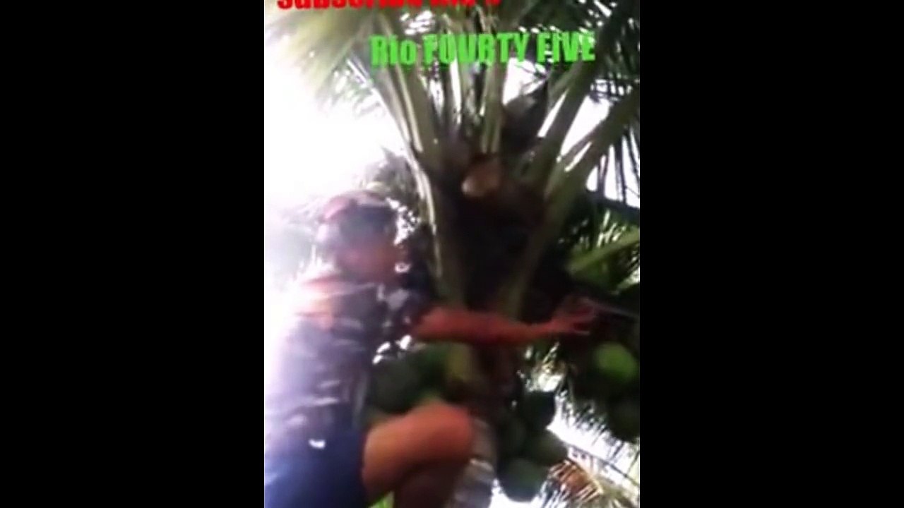 Best Fails Of The Month February 2016 _types of movies