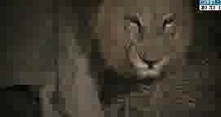 / 안양오피 〓「OP 오피걸」【건마】수유오피 광명오피 서초오피방