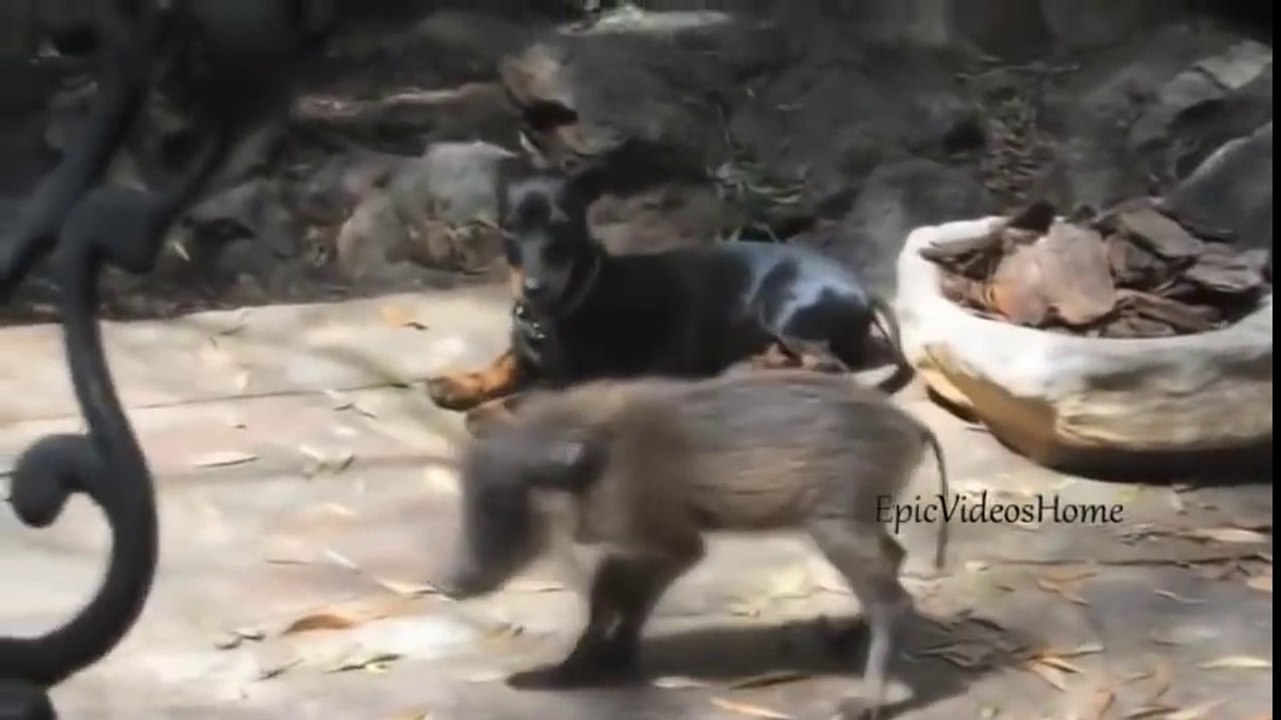 Best Fails Of The Month January 2016 __ Ultimate Fails Compilation 2016 types of movies
