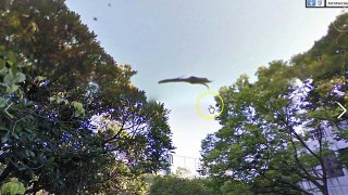 UFO SHOCKER!! BIOLOGICAL Flying Serpent!!- STRANGE Humanoid Figure WALKS AREA 51 [GUN ON MARS] 2016