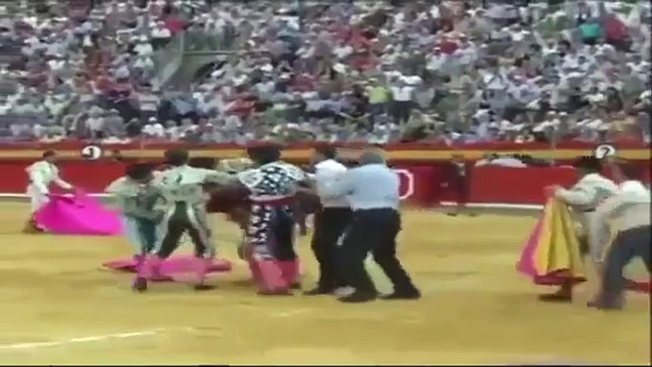 Animal Attacks Compilation 2015 HD #3