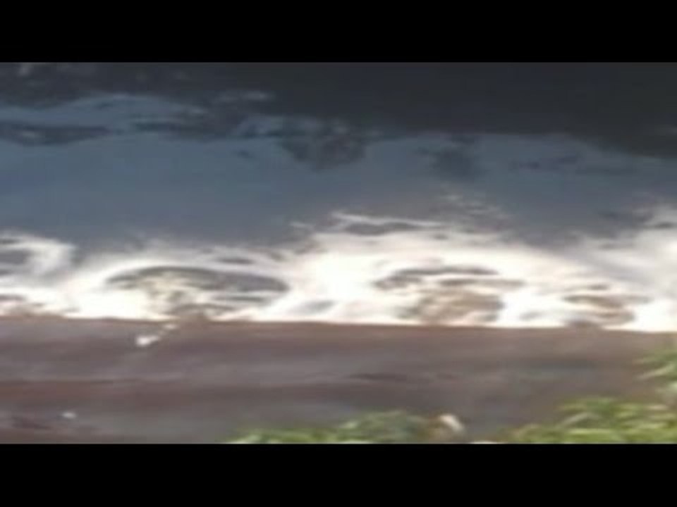 Pastorano (CE) - Sversavano in affluente del Volturno, sequestrata distilleria (17.02.16)