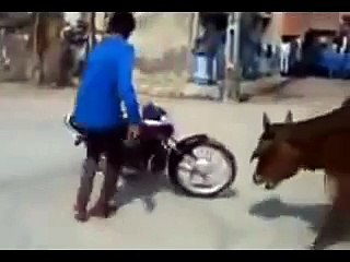 Show-off Biker Dar Gaya _ Whatsapp Masti Video