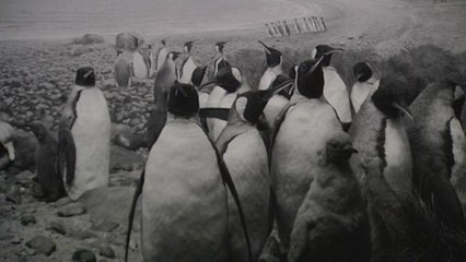 El fotógrafo Sugimoto evoca un pasado inamovible en la exposición "Black Box"