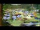 The Worst Massacre In American History Jonestown Massacre Mass Murder Full Documentary