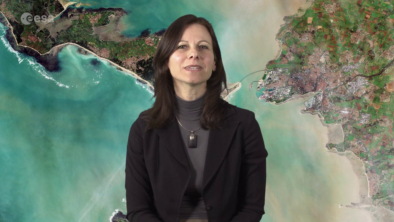 Earth from Space: French synergy