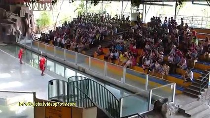 EARN $7 A DAY TO PUT YOUR HEAD IN CROC'S MOUTH, THAILAND