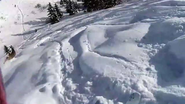 ¿Esquían los ciervos más rápido que los humanos?