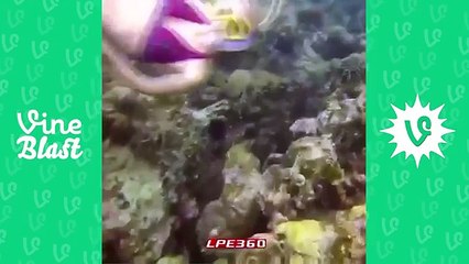 [NEW] Funniest Comedy Vines compilation Vol. 8 -- 2016