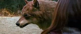 Twilight New Moon Laurent Bella et les loups