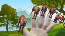 Finger Family Rhymes Cheetah Cartoons for Children | Finger Family Children Nursery Rhymes